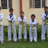 Taekwondo